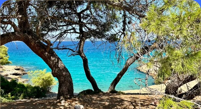 Day 2 - Moni island